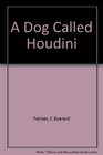 A dog called Houdini