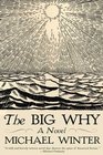 The Big Why A Novel