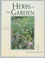Herbs in the Garden The Art of Intermingling
