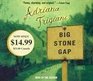 Big Stone Gap (Big Stone Gap, Bk 1) (Audio CD) (Abridged)