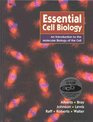 Essential Cell Biology An introducton to the Molecular Biology of the Cell