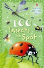 Insect Sticker Book