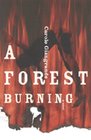 A Forest Burning