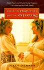 What to Pray When You're Expecting: Hopes, Prayers, and Dreams During Pregnancy--For Mom and the Whole Family