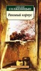 Classics  / A Solzhenitsyn / cancer ward / Klassika /Solzhenitsyn A/Rakovyy korpus