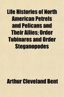 Life Histories of North American Petrels and Pelicans and Their Allies Order Tubinares and Order Steganopodes