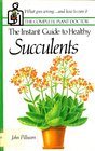 The Instant Guide to Healthy Succulents