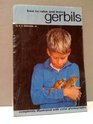 How to Raise and Train Gerbils