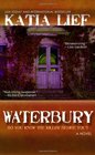 Waterbury a crime novel