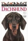 Dachshund