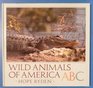 Wild Animals of America ABC 2