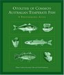 Otoliths of Common Australian Temperate Fish A Photographic Guide