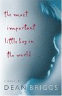 The Most Important Little Boy In The World - A Novel -