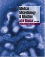 Medical Microbiology and Infection at a Glance