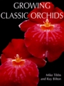 Growing Classic Orchids