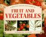 A Creative StepByStep Guide to Fruit and Vegetables