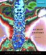 Human Anatomy Value Package