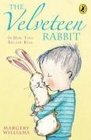 Velveteen Rabbit