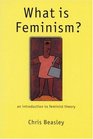 What is Feminism  An Introduction to Feminist Theory
