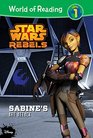 Star Wars Rebels Sabine's Art Attack