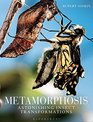 Metamorphosis Astonishing insect transformations