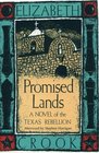 Promised Lands A Novel of the Texas Rebellion