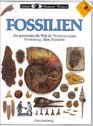 Sehen Staunen Wissen Fossilien