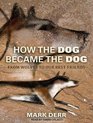 How the Dog Became the Dog From Wolves to Our Best Friends