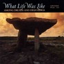 What Life Was Like Among Druids and High Kings  Celtic Ireland Ad 4001200