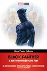 BLACK PANTHER A NATION UNDER OUR FEET