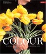 Colour An Inspiring Collection of Ideas for Each Season and Mood