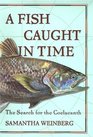A Fish Out of Time  The Search for the Coelacanth