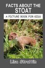 Facts About the Stoat