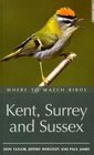 Where to Watch Birds in Kent Surrey and Sussex