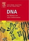 DNA Das Molekl und seine Funktionsweise