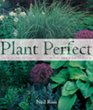 Plant Perfect Designing with Plants for the Modern Garden