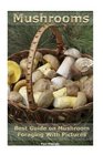 Mushrooms Best Guide on Mushroom Foraging With Pictures