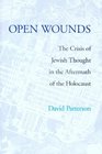 Open Wounds The Crisis of Jewish Thought in the Aftermath of Auschwitz
