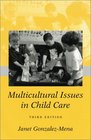 Multicultural Issues In Child Care