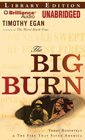 The Big Burn Teddy Roosevelt  the Fire That Saved America