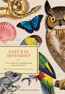 Natural Histories Postcards of 60 Rare Book Illustrations