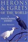 Herons and Egrets of the World  A Photographic Journey