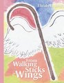 From Walking Sticks To Wings