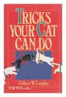 Tricks Your Cat Can Do