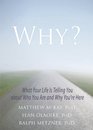 Why What Your Life Is Telling You about Who You Are and Why You're Here