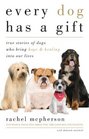 Every Dog Has a Gift True Stories of Dogs Who Bring Hope  Healing into Our Lives