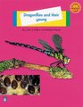 Dragonflies and Their Young Animals Small Book 1