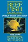 Reef Fish Identification  Travel Edition  Caribbean Bahamas South Florida