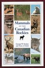 Mammals of the Canadian Rockies