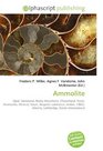 Ammolite: Opal, Gemstone, Rocky Mountains, Chrysoberyl, Fossil, Ammonite, Mineral, Nacre, Biogenic substance, Amber, CIBJO, Alberta, Lethbridge, Korite International